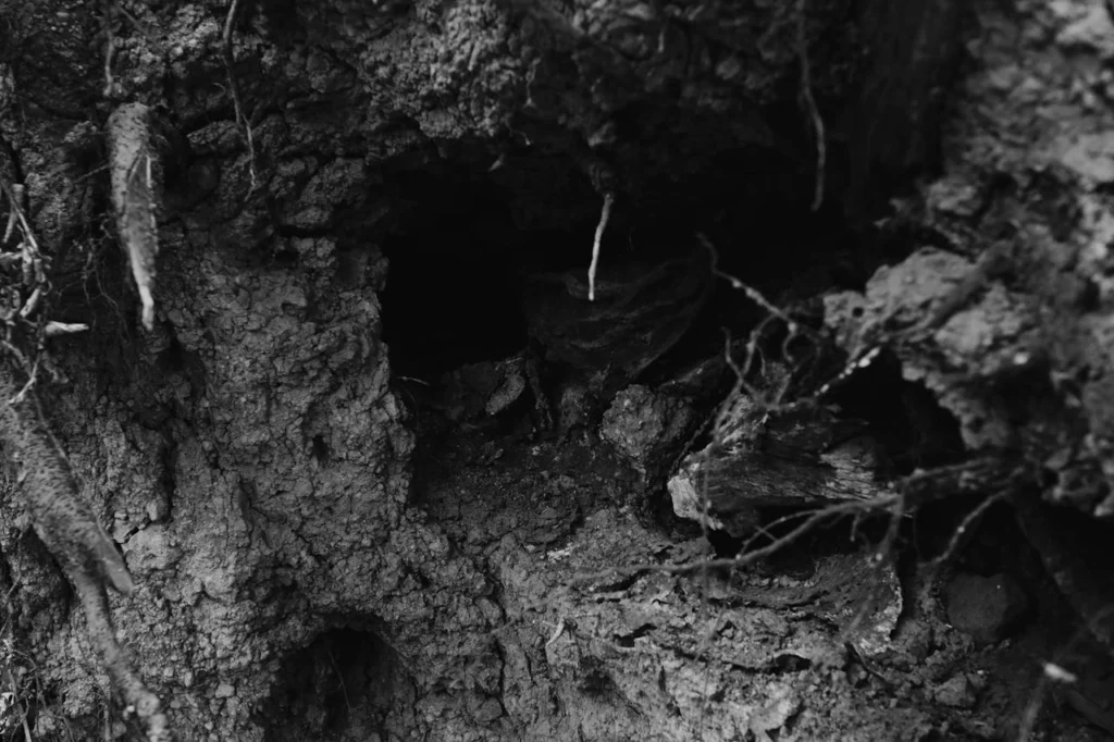 tanda sungai ada emas