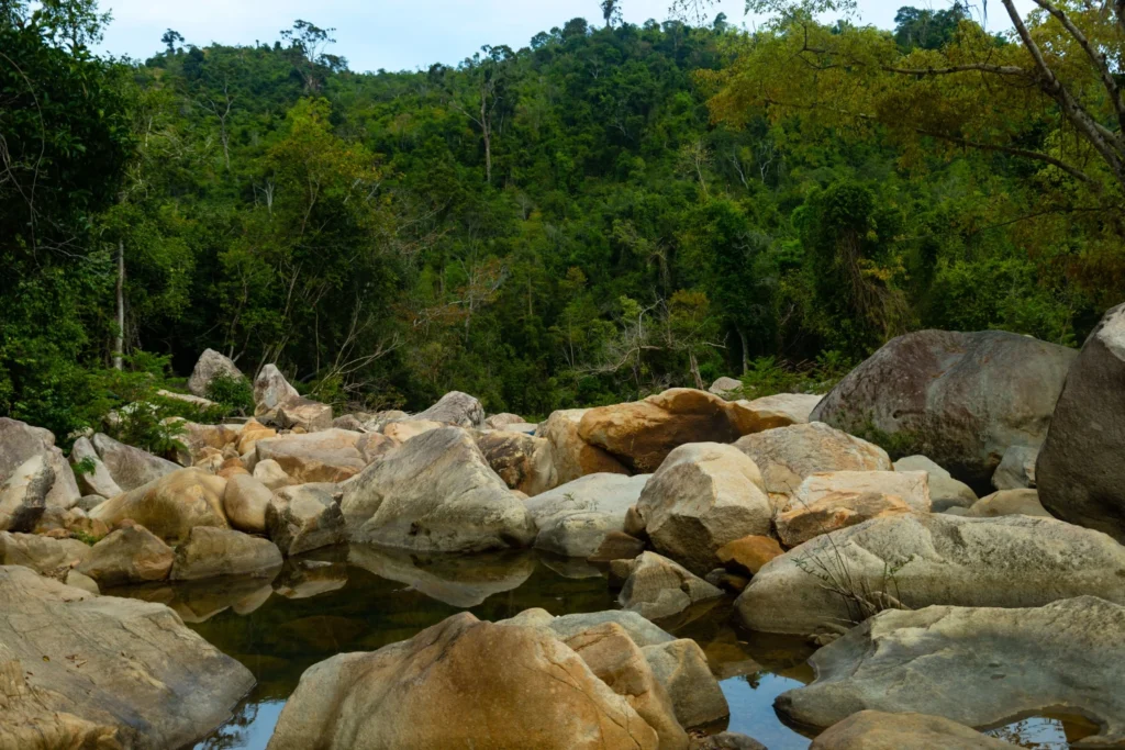 apa saja ciri-ciri sungai yang ada emasnya